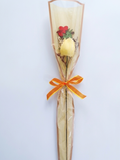 Rosa de St. Jordi